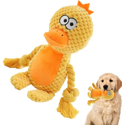 HausPets Jouet Chien Peluche Couineur Mâcher HausPets Jouet Chien Peluche Couineur Mâcher