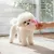 HausPets Peluche chirriante para perros, duradero, 19 cm HausPets Peluche chirriante para perros, duradero, 19 cm