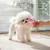 HausPets Jouet Chien Peluche Couineur Résistant 19cm