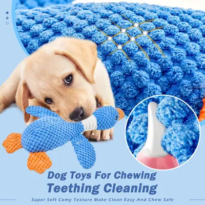 HausPets Jouet Chien Oie Peluche Couineur Froissé Mâcher