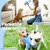 HausPets Jouet Chien Oie Peluche Couineur Froissé Mâcher