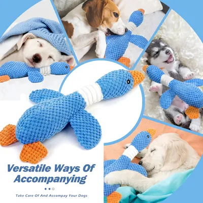 HausPets Jouet Chien Oie Peluche Couineur Froissé Mâcher