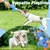 HausPets Jouet Chien Oie Peluche Couineur Froissé Mâcher