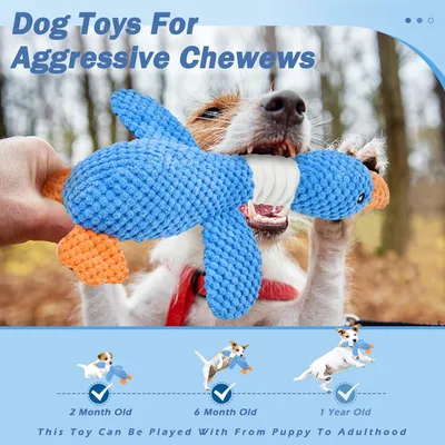 HausPets Jouet Chien Oie Peluche Couineur Froissé Mâcher