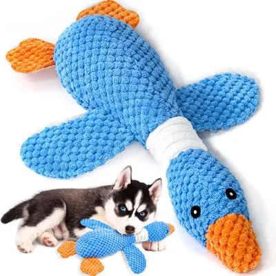 HausPets Jouet Chien Oie Peluche Couineur Froissé Mâcher