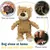 HausPets Jouet Chien Ours Peluche Incassable Indestructible 21cm