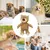 HausPets Jouet Chien Ours Peluche Incassable Indestructible 21cm