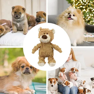 HausPets Jouet Chien Ours Peluche Incassable Indestructible 21cm