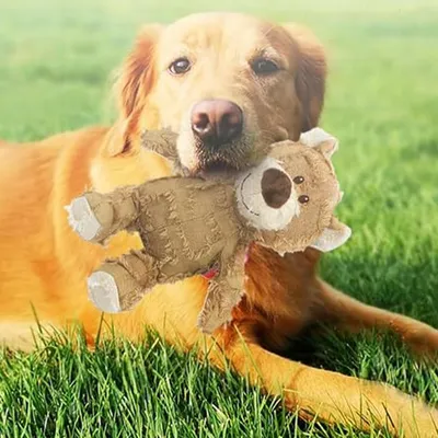 HausPets Jouet Chien Ours Peluche Incassable Indestructible 21cm