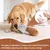HausPets Lot 4 Jouets Chien Peluche Couineur Expressif