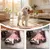 HausPets Lot 4 Jouets Chien Peluche Couineur Expressif