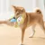 HausPets Jouet Chien Peluche Couineur Mâcher