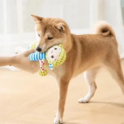 HausPets Jouet Chien Peluche Couineur Mâcher
