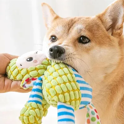 HausPets Jouet Chien Peluche Couineur Mâcher
