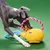 HausPets Jouet Chien Théière Peluche Corde Interactive