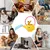 HausPets Tetera de peluche con forma de perro y cuerda interactiva HausPets Tetera de peluche con forma de perro y cuerda interactiva