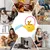 HausPets Jouet Chien Théière Peluche Corde Interactive