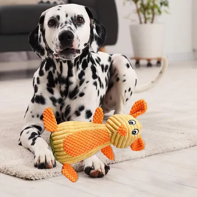 HausPets Jouet Chien Peluche Sonore Dentition HausPets Jouet Chien Peluche Sonore Dentition