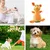 HausPets Jouet Chien Peluche Sonore Dentition HausPets Jouet Chien Peluche Sonore Dentition