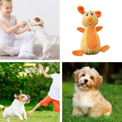 HausPets Jouet Chien Peluche Sonore Dentition HausPets Jouet Chien Peluche Sonore Dentition