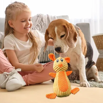 HausPets Jouet Chien Peluche Sonore Dentition HausPets Jouet Chien Peluche Sonore Dentition