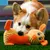 HausPets Jouet Chien Peluche Sonore Dentition HausPets Jouet Chien Peluche Sonore Dentition