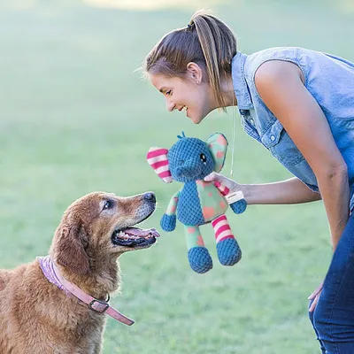 HausPets Jouet Chien Peluche Couineur Doux Anti-Ennui HausPets Jouet Chien Peluche Couineur Doux Anti-Ennui