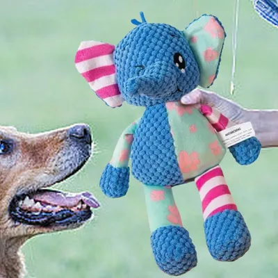 HausPets Jouet Chien Peluche Couineur Doux Anti-Ennui HausPets Jouet Chien Peluche Couineur Doux Anti-Ennui