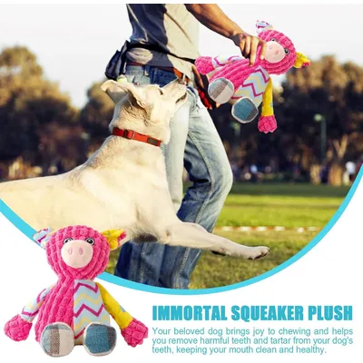 HausPets Jouet Chien Peluche Couineur Mâcher HausPets Jouet Chien Peluche Couineur Mâcher