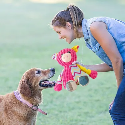HausPets Jouet Chien Peluche Couineur Mâcher HausPets Jouet Chien Peluche Couineur Mâcher