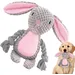 HausPets Jouet Chien Peluche Couineur Mâcher