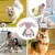 HausPets Jouet Chien Peluche Couineur Mâcher HausPets Jouet Chien Peluche Couineur Mâcher