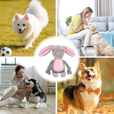 HausPets Jouet Chien Peluche Couineur Mâcher HausPets Jouet Chien Peluche Couineur Mâcher