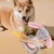 HausPets Jouet Chien Peluche Couineur Mâcher HausPets Jouet Chien Peluche Couineur Mâcher