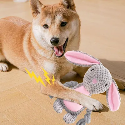 HausPets Jouet Chien Peluche Couineur Mâcher HausPets Jouet Chien Peluche Couineur Mâcher