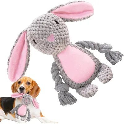 HausPets Jouet Chien Peluche Couineur Mâcher HausPets Jouet Chien Peluche Couineur Mâcher