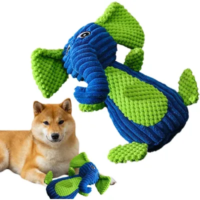 HausPets Jouet Chien Peluche Sonore Dentition HausPets Jouet Chien Peluche Sonore Dentition
