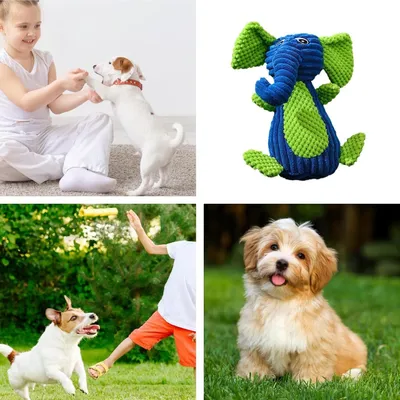 HausPets Jouet Chien Peluche Sonore Dentition HausPets Jouet Chien Peluche Sonore Dentition