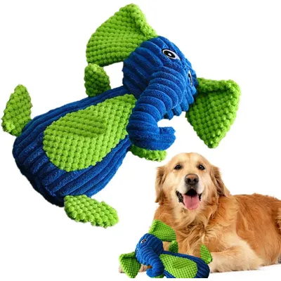 HausPets Jouet Chien Peluche Sonore Dentition HausPets Jouet Chien Peluche Sonore Dentition
