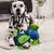 HausPets Jouet Chien Peluche Sonore Dentition HausPets Jouet Chien Peluche Sonore Dentition