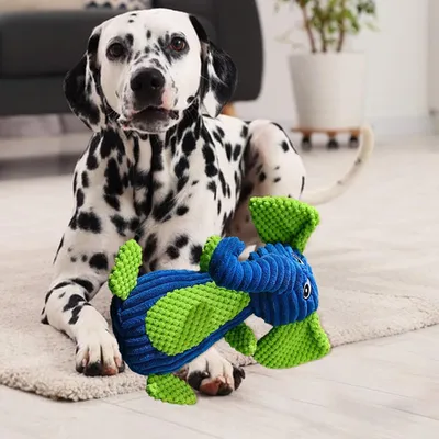 HausPets Jouet Chien Peluche Sonore Dentition HausPets Jouet Chien Peluche Sonore Dentition