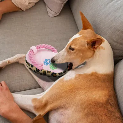 HausPets Jouet Chien Corde Chaussure Couineur Coton Rose