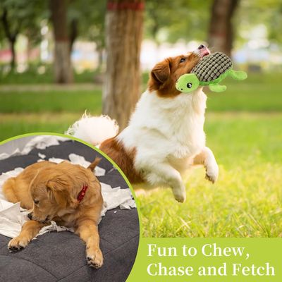HausPets Juguete peluche forma tortuga que chirría perros, ideal masticar