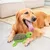HausPets Jouet Chien Peluche Tortue Couineur à Mâcher