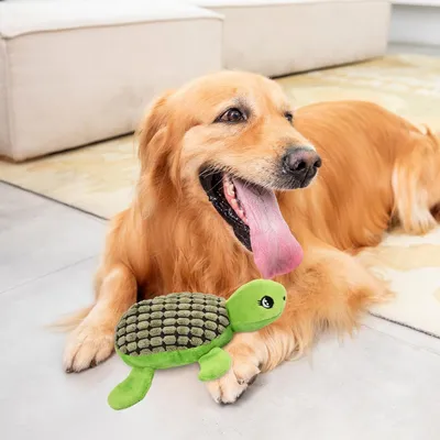 HausPets Jouet Chien Peluche Tortue Couineur à Mâcher