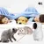 Jouet chat LED interactif 3 vitesses rechargeable Jouet chat LED interactif 3 vitesses rechargeable