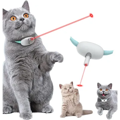 Collier LED rechargeable USB pour chaton Collier LED rechargeable USB pour chaton