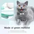 Collier LED rechargeable USB pour chaton Collier LED rechargeable USB pour chaton
