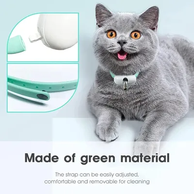 Collier LED rechargeable USB pour chaton Collier LED rechargeable USB pour chaton