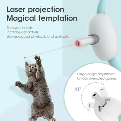 Collier LED rechargeable USB pour chaton Collier LED rechargeable USB pour chaton